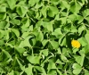 Voglia di ricominciare